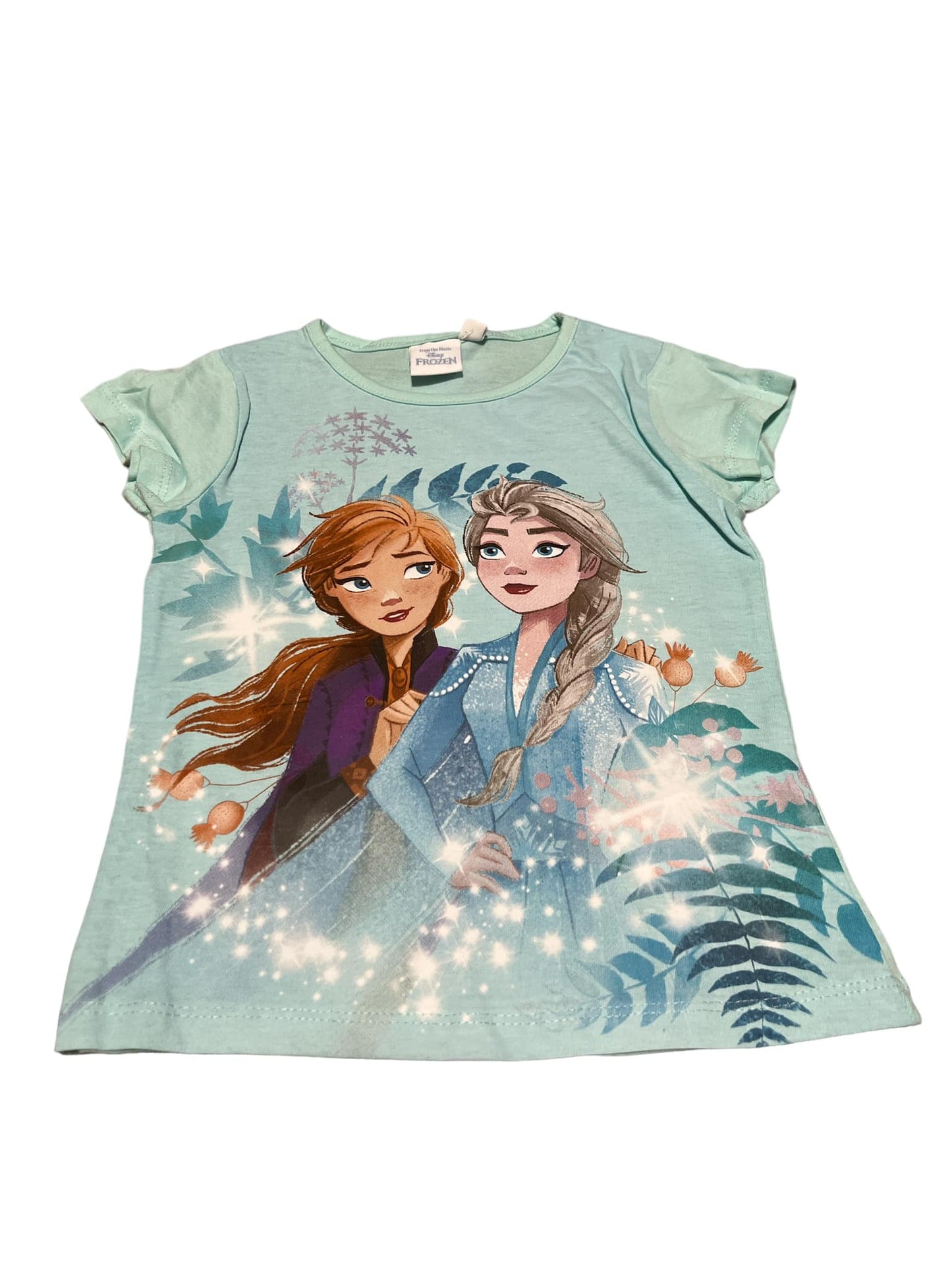 Disney Frozen Tshirt