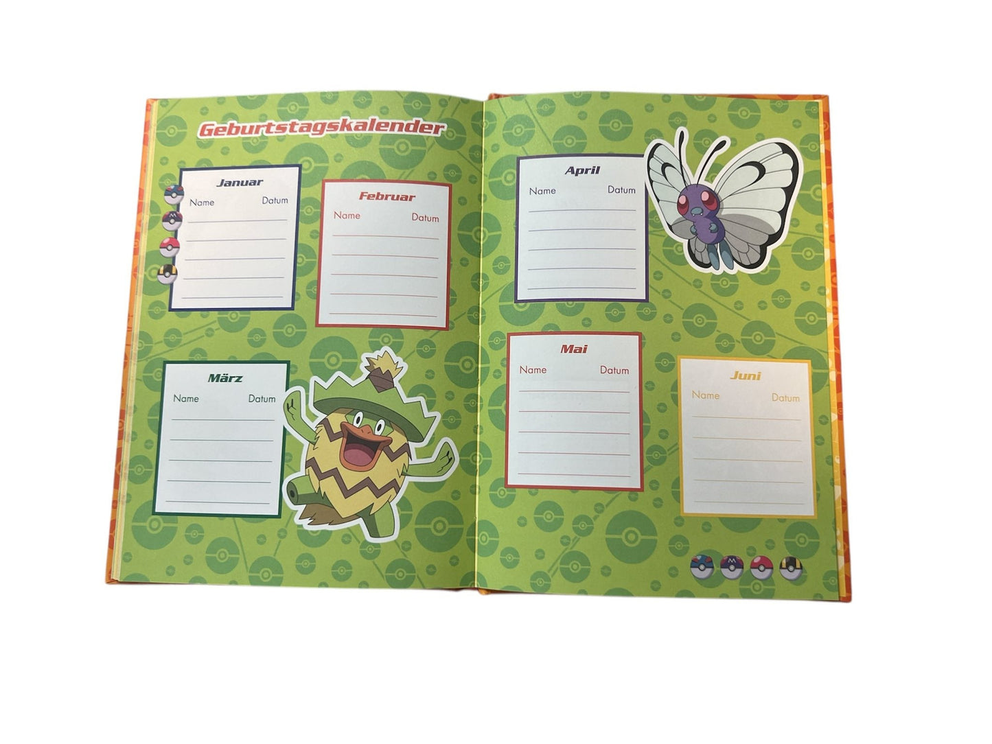 Pokémon: Meine Freunde: Freundebuch