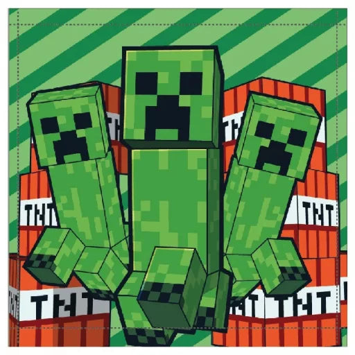 Minecraft Handtuch Gesichtstuch 30 x 30