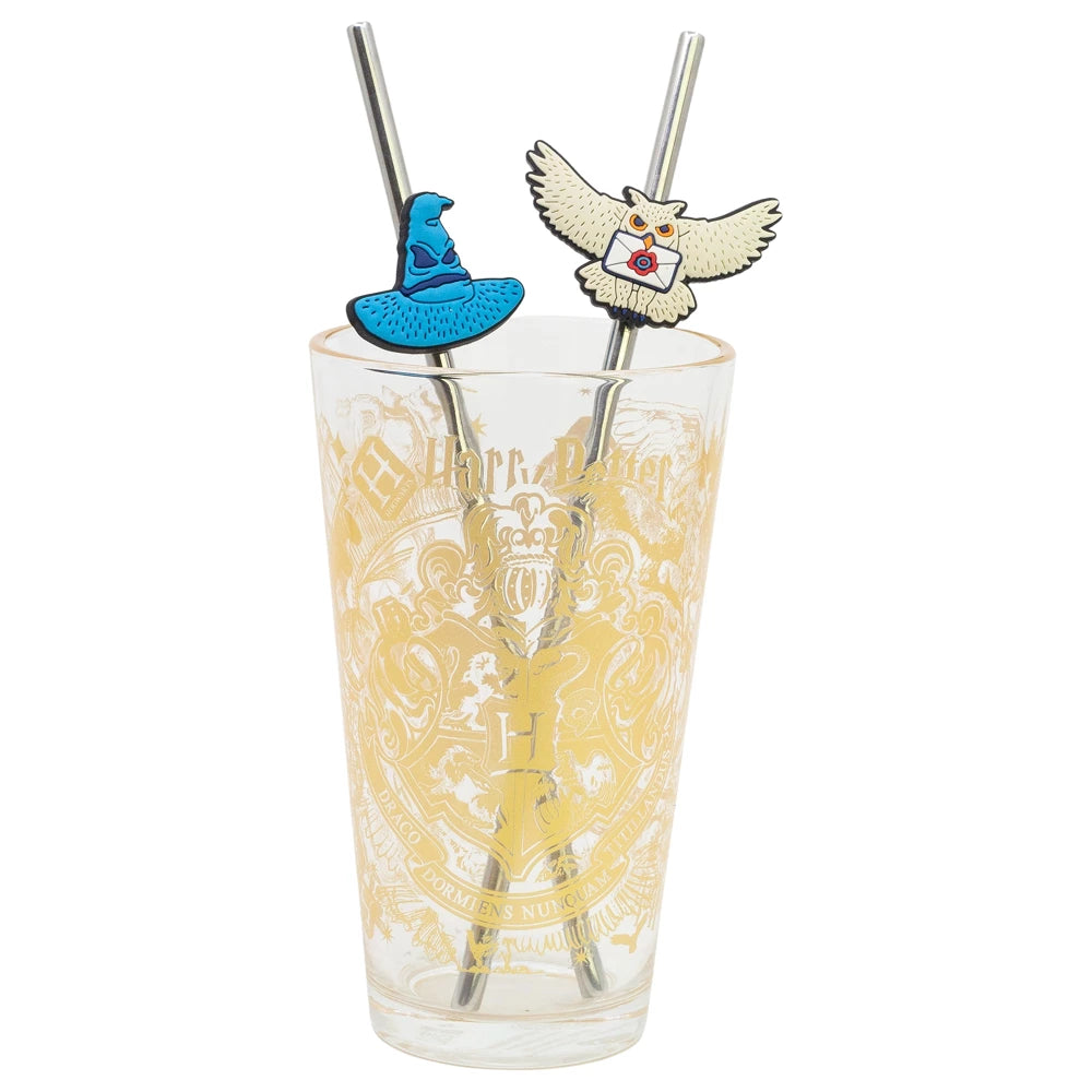 Hary Potter Glas Tumbler mit Trinkhalmen 480ml