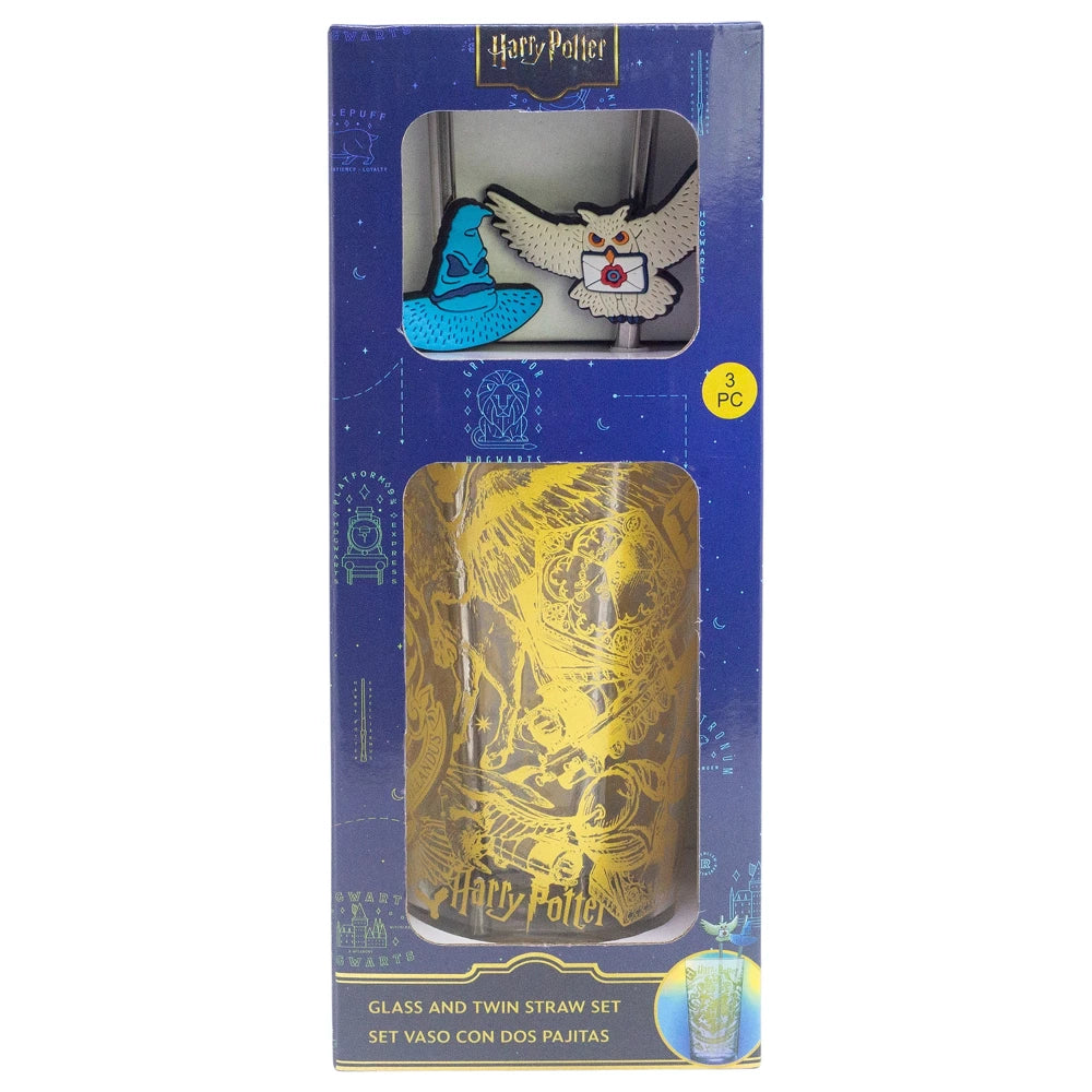 Hary Potter Glas Tumbler mit Trinkhalmen 480ml