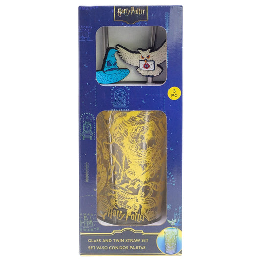 Hary Potter Glas Tumbler mit Trinkhalmen 480ml