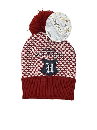 Harry Potter Welcome to Hogwarts Wintermütze