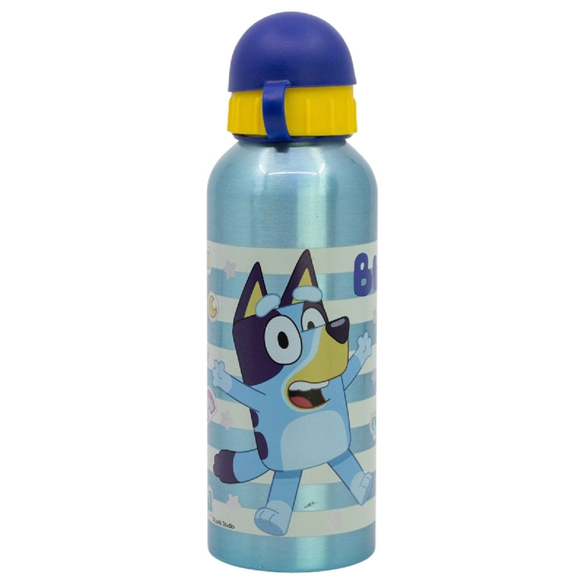 Bluey Aluminium Trinkflasche 530 ml