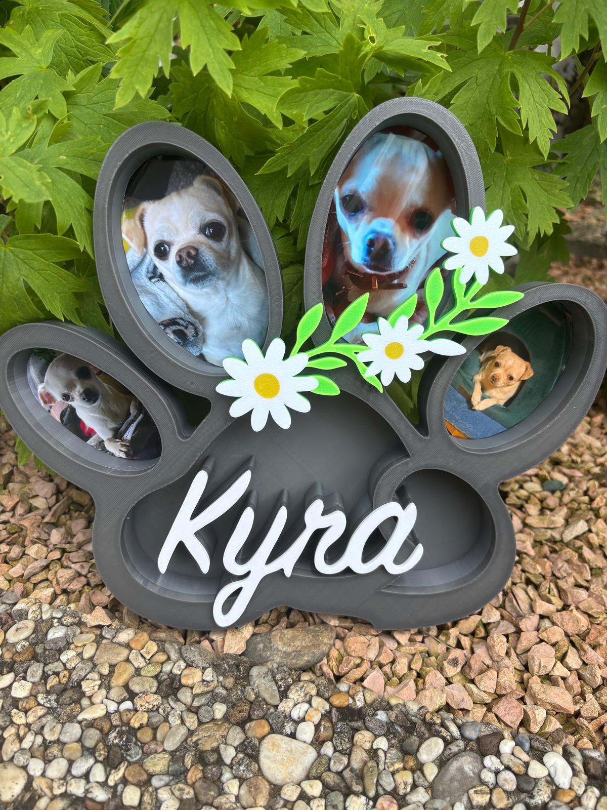 Hund Pfoten 3D Deko – Personalisierte Fotodeko für deinen Hund