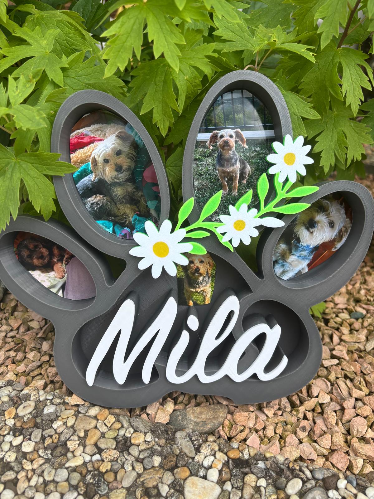 Hund Pfoten 3D Deko – Personalisierte Fotodeko für deinen Hund
