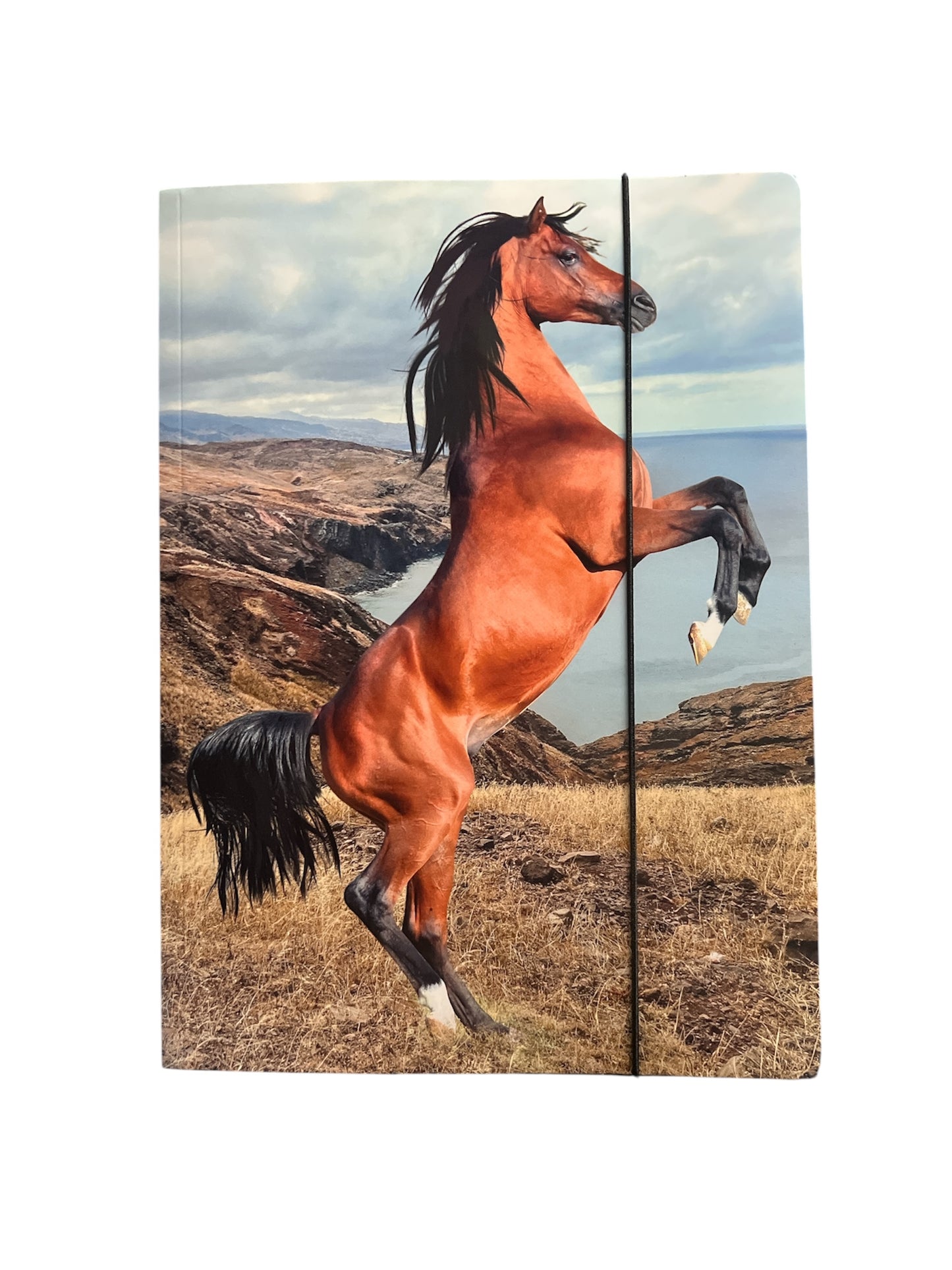Pferd Wild Spirit A4 Mappe