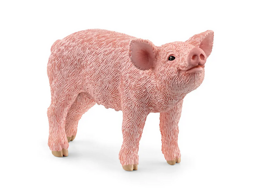 Schleich 13934 - Farm World - Ferkel